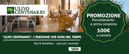 ulivo centenario promozione