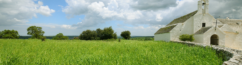 campagne pugliesi