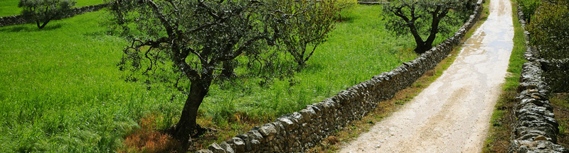 masseria serralta a locorotondo scopri la puglia