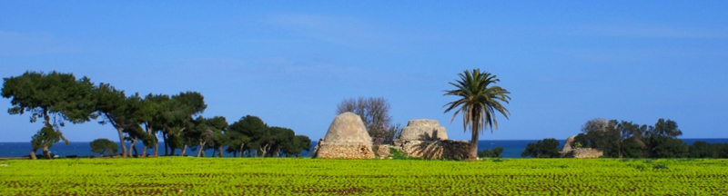 fasano scopri la puglia