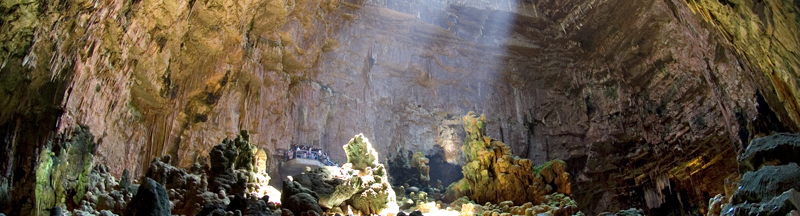 il giardino degli ulivi a castellana grotte scopri la puglia