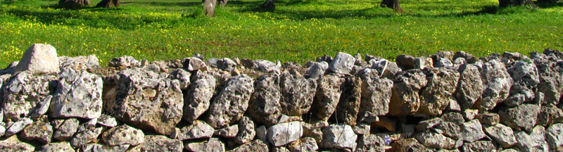 masseria serralta a locorotondo scopri la puglia