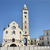 trani cattedrale